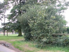 Greenwich Meridian Marker; England; Hertfordshire; Nr Puckeridge